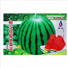 Crisp watermelon seeds 50 seeds/bags for planting