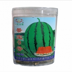 sweet green skin watermeleon seeds 100gram/bags