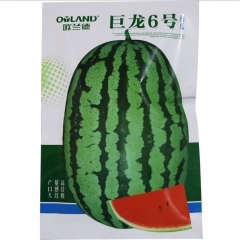 Green watermelon seeds 80gram/bags for planting