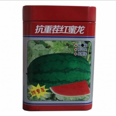 big fruit watermelon seeds 50gram/bags for growing