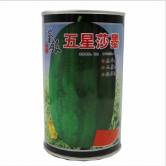 Mid-mature f1 watermelon seeds 50 gram/bags