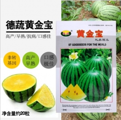 green skin yellow fresh watermelon seeds 20 seeds/bags