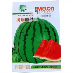 50 seeds giant watermelon seeds