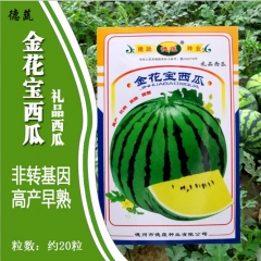Hard skin yellow meat watermelon seeds 20 seeds/bags