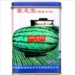 50gram black diamond seedless watermelon
