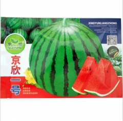 ship resistant hard peel watermelon seeds for planting