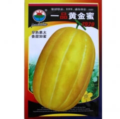 Yellow muskmelon seeds/melon seeds 80 seeds/bags for planting