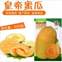 High germination rate muskmelon seeds 50 seeds/bags for planting