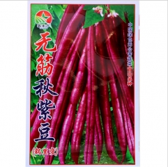 Red color no fibre kidney bean seeds 40gram/bags for planting