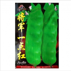 Cold resistant snow peas seeds/green peas seeds 20gram/bags for planting