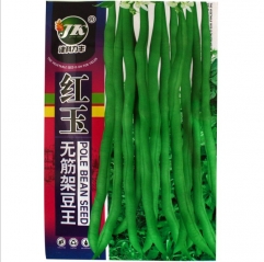 climbing green beans seeds 100gram/bags for planting