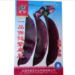 Purple red dolichos lablab seeds/green peas seeds 10 seeds/bags for planting