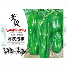 strong disease resistant cow-horn pepper seeds/cayenne pepper seeds for planting