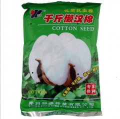 High yield hybrid cotton seeds 350gram