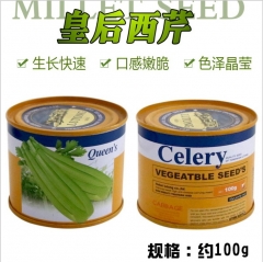 Queen celery seeeds 100 gram