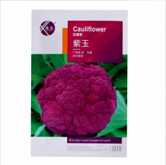 purple Cauliflower seeds 200 seeds