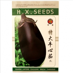 Oval shape purple eggplant seeds 10gram