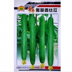 High germination rate luffa seeds 20 seeds