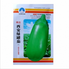 Oval green eggplant seeds