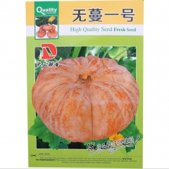 Red pumpkin seeds 5 gram