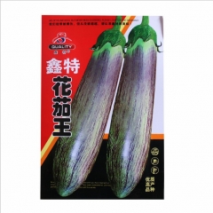 Good taste color eggplant seeds 10gram