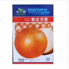 Yellow onion seeds 500 seeds