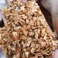 Toona sinensis seeds/Cedrela sinensis seeds