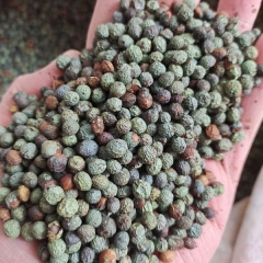 Pistacia chinensis/Pistacia seeds 1kg