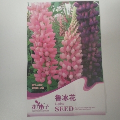 Lupine seeds 15 seeds/bags