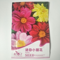 Dahlia pinnata seeds 50 seeds/bags