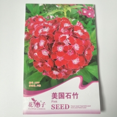 Pink Sweet william seeds 50 seeds/bags