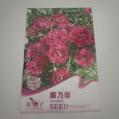 Carnation seeds 30 seeds/bags