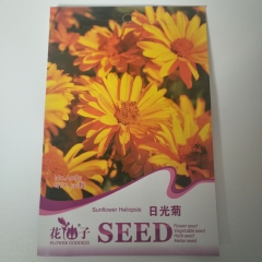 Heliopsis helianthoides seeds 50 seeds/bags
