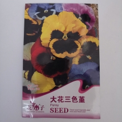 big pansy seeds 50 seeds/bags