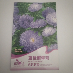 Blue China aster seeds 50 seeds/bags