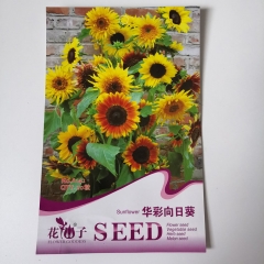Mix color sunflower seeds 20 seeds/bags