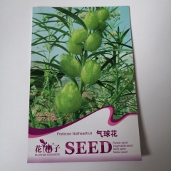 Gomphocarpus fruticosus seeds 10 seeds/bags