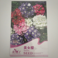 Verbena seeds 50 seeds/bags
