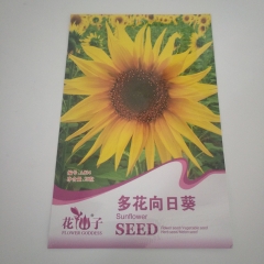 Mix sunflower seeds 20 seeds/bags