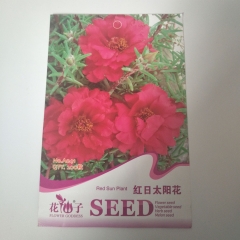 Red Portulaca grandiflora seeds seeds 20 seeds/bags