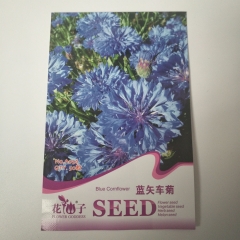 Blue Cornflower seeds 50 seeds/bags