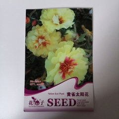 Yellow Portulaca grandiflora seeds 20 seeds/bags