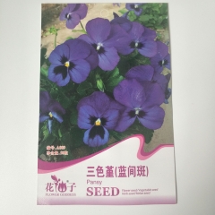 blue black pansy seeds 20 seeds/bags
