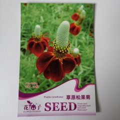 coneflower seeds, 20 seeds/bags