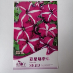 Dwarf petunia seeds 100 seeds/bags