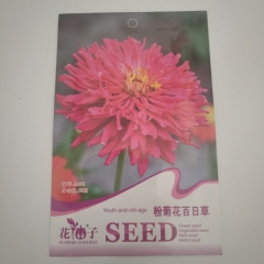 pink youth-and-old-age seeds 50 seeds/bags