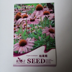Echinacea seeds 50 seeds/bags