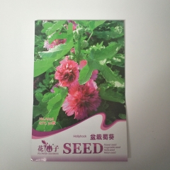 hollyhock seeds 30 seeds/bags