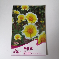 Egg flower seeds 30 seeds/bags