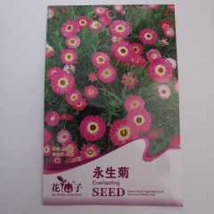 Helipterum roseum seeds 20 seeds/bags